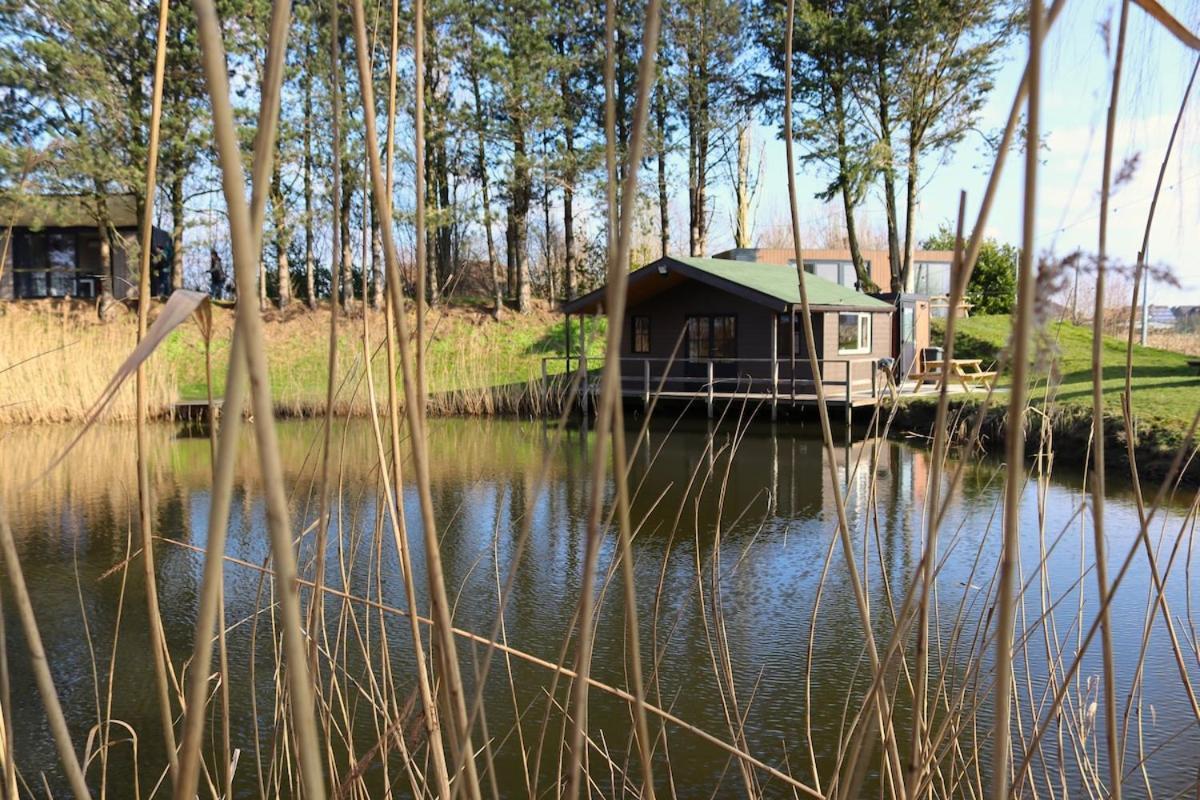 Villa The Waterfront & Birds Nest Evergem Exterior foto