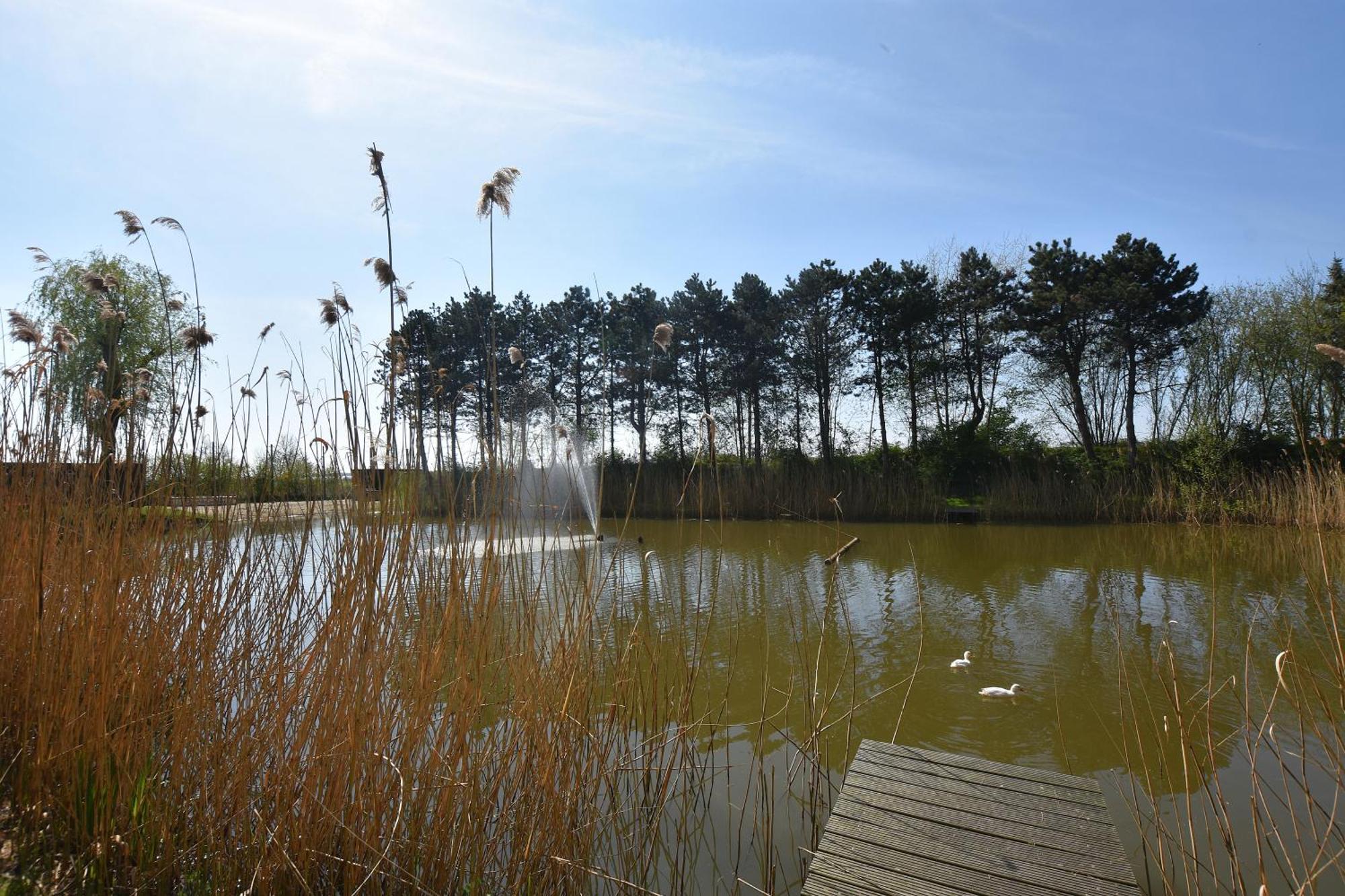 Villa The Waterfront & Birds Nest Evergem Exterior foto